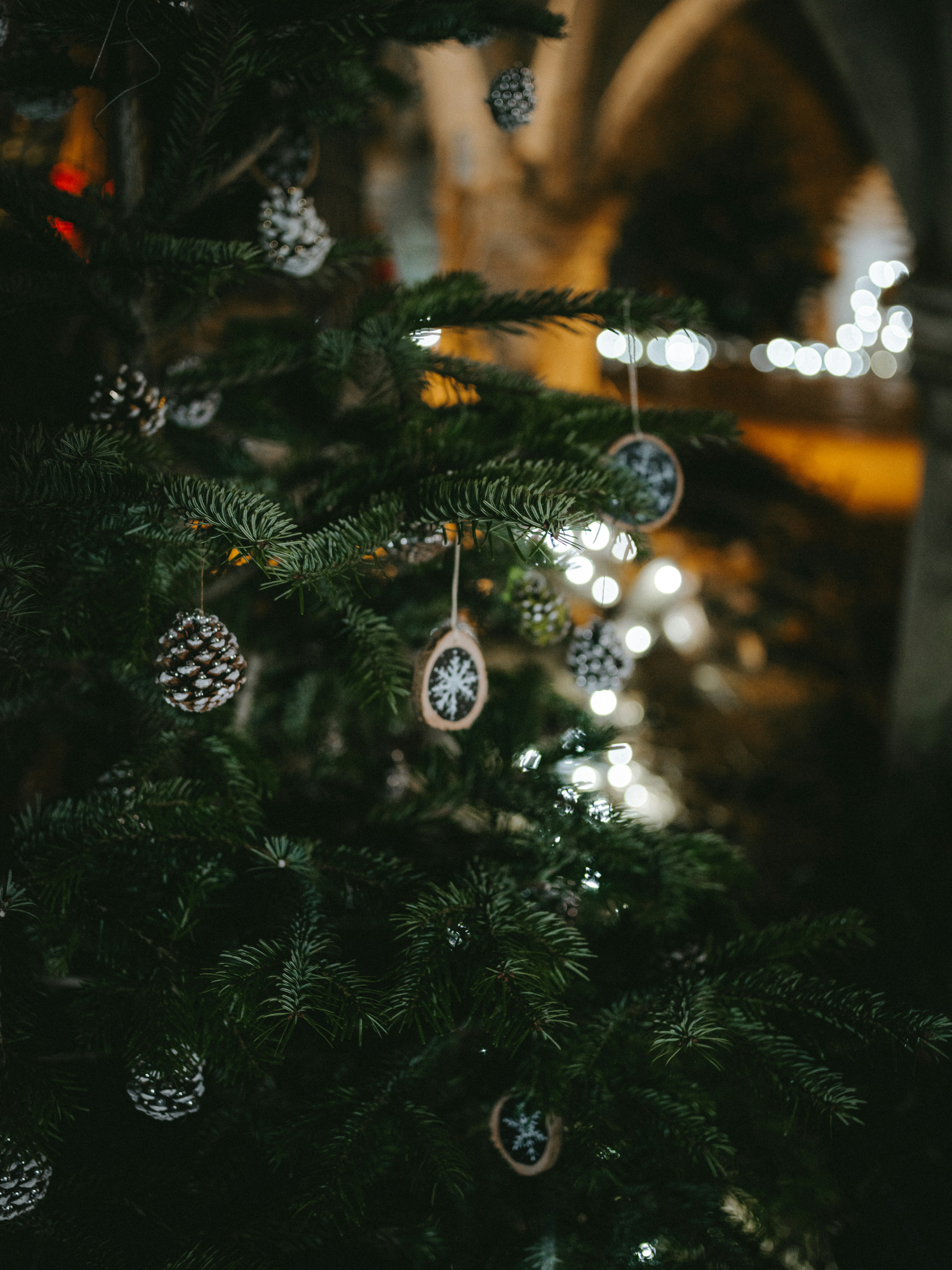 緑のクリスマスツリーの写真 Unsplashで見つけるクリスマスの無料写真