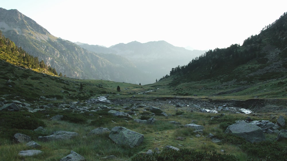 a grassy valley with rocks and grass in the foreground