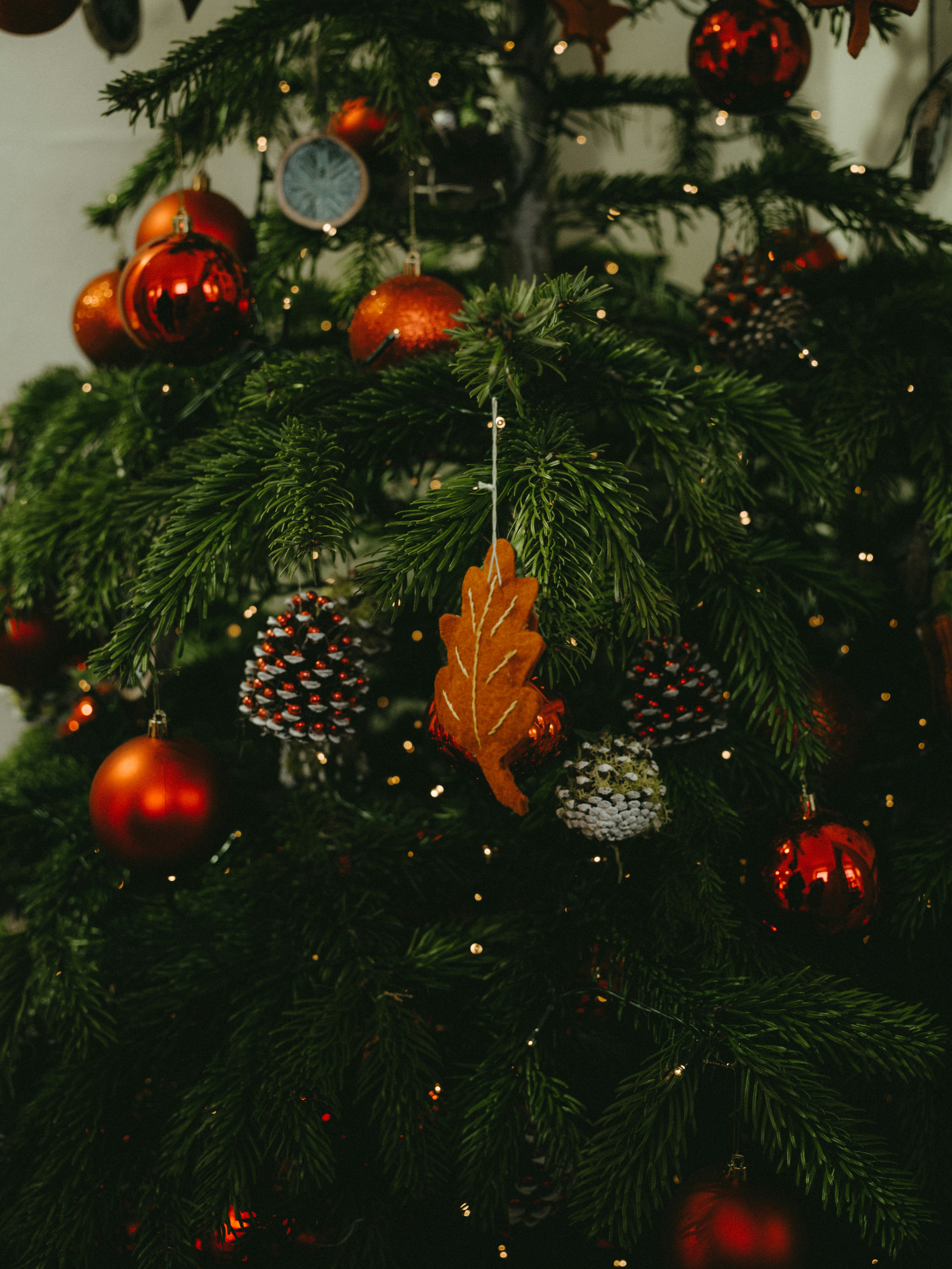 Eco-Friendly Christmas Tree Disposal