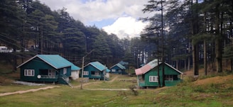 houses in forest