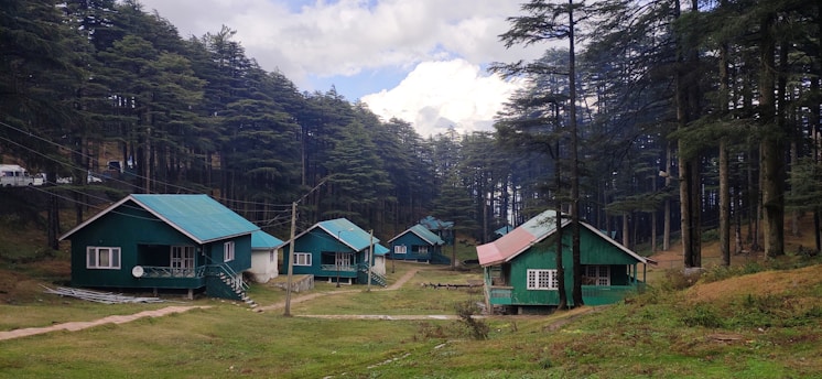 houses in forest