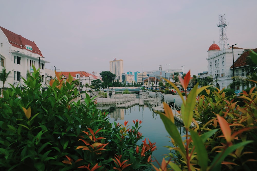 docks on canal