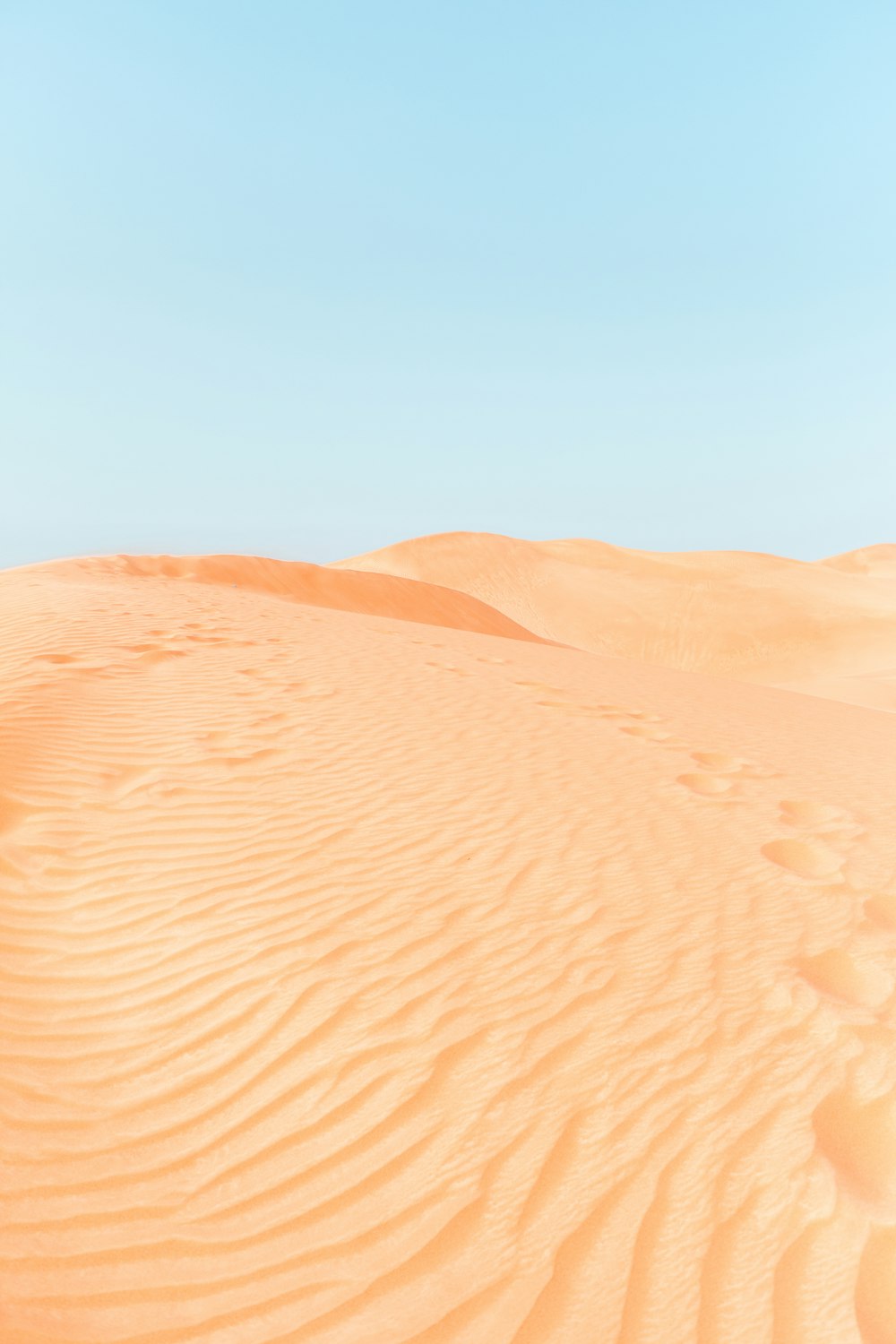 Wüste während des Tages