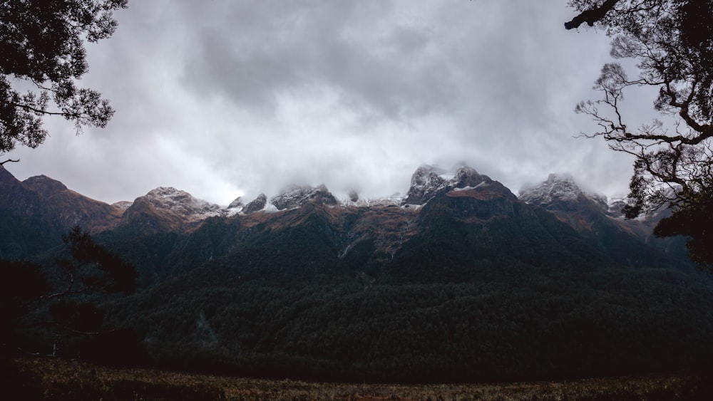 Berge und Wald tagsüber