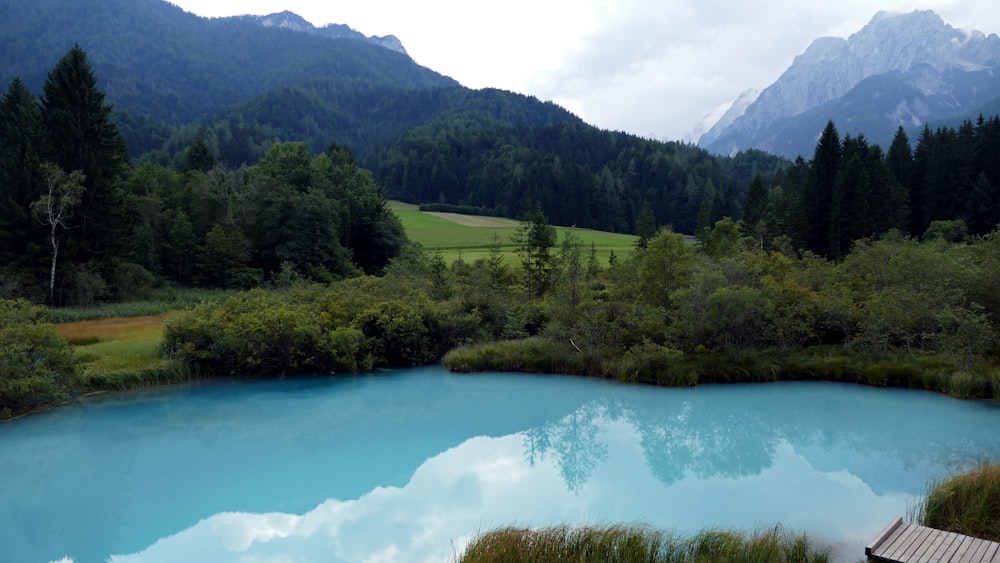 blue body of water during daytime