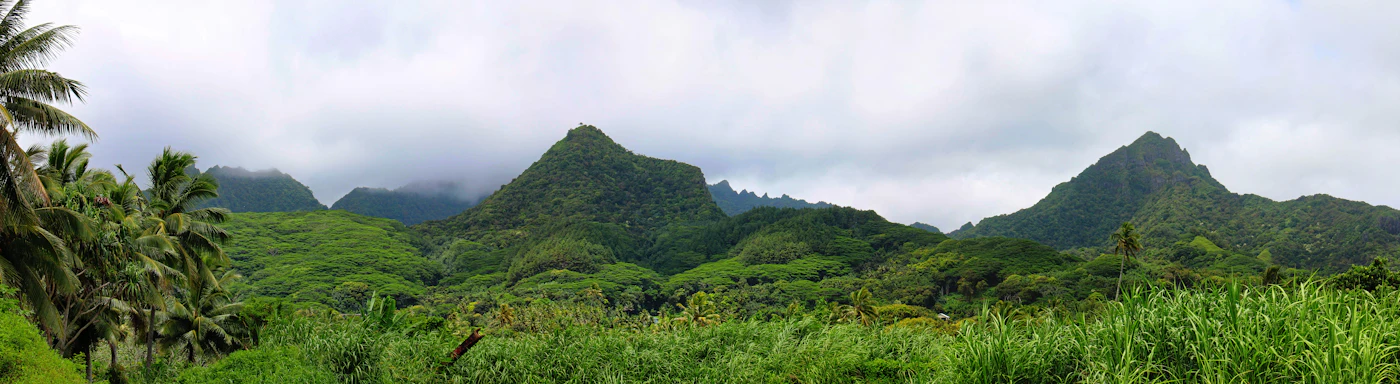Der Felsturm Te Rua Manga («The Needle») am Cross-Island-Track von Rarotonga