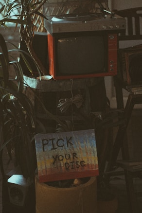 A vintage television with a speaker and control knobs is stacked on shelves surrounded by potted plants. Below, there's a colorful sign with the text 'PICK YOUR DISC' hanging on a container. The overall scene is dimly lit with a warm, retro ambiance.