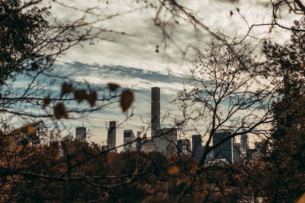 buildings by trees during daytime