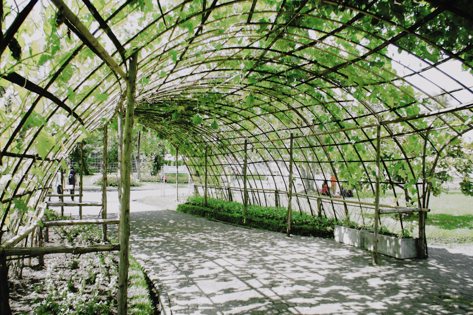 Serene park scene features a curved wooden trellis surrounded by lush green trees and concrete