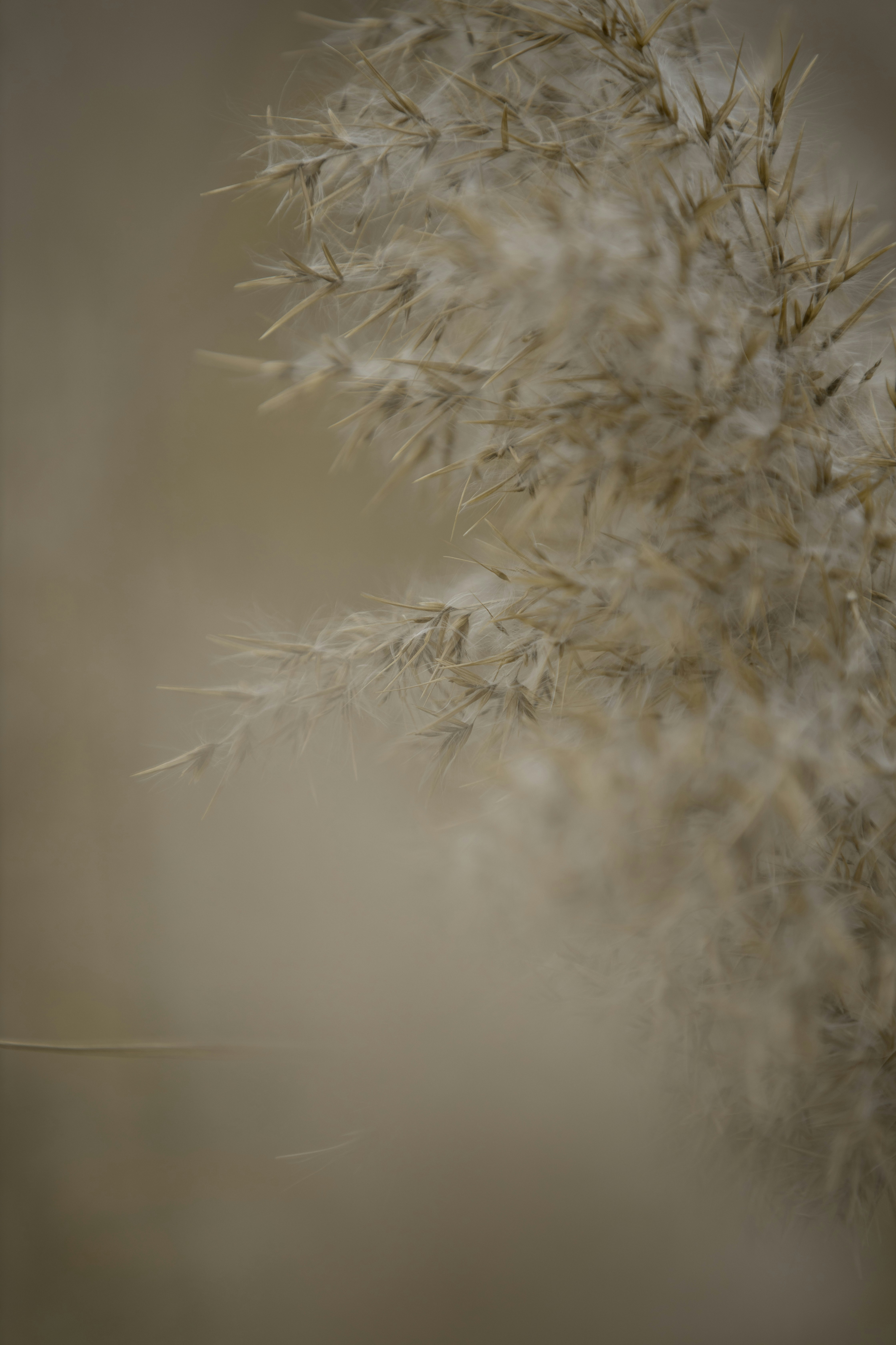 Photo by aladdin2019