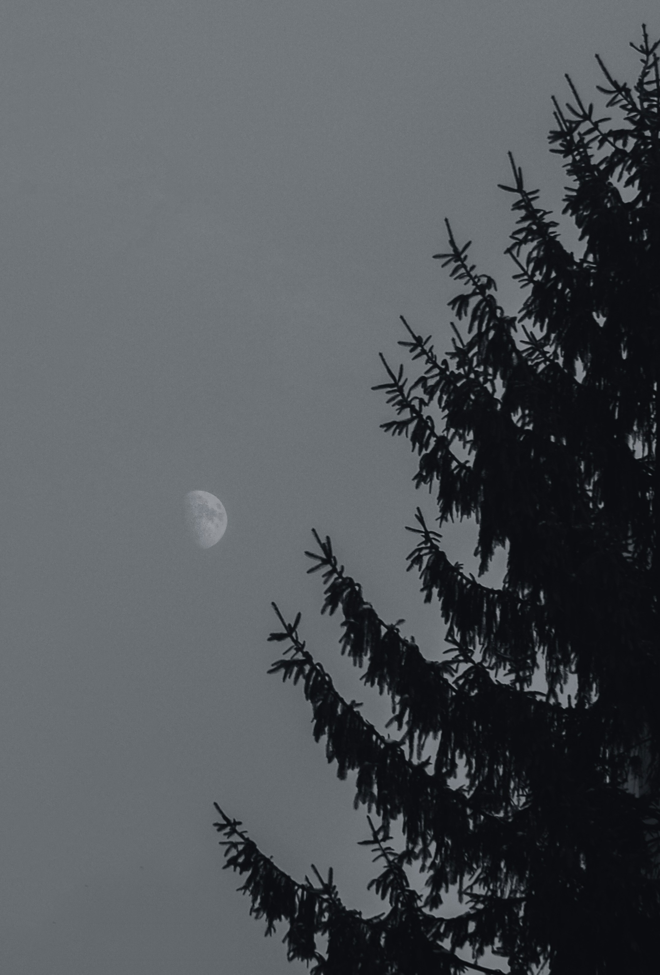 Photo by harisyks