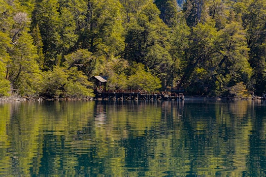 calm body of water surrounded by trees in Chubut Argentina