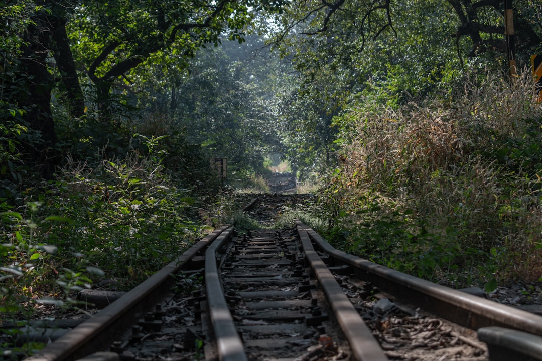 Jungle photo spot Matheran Lavasa