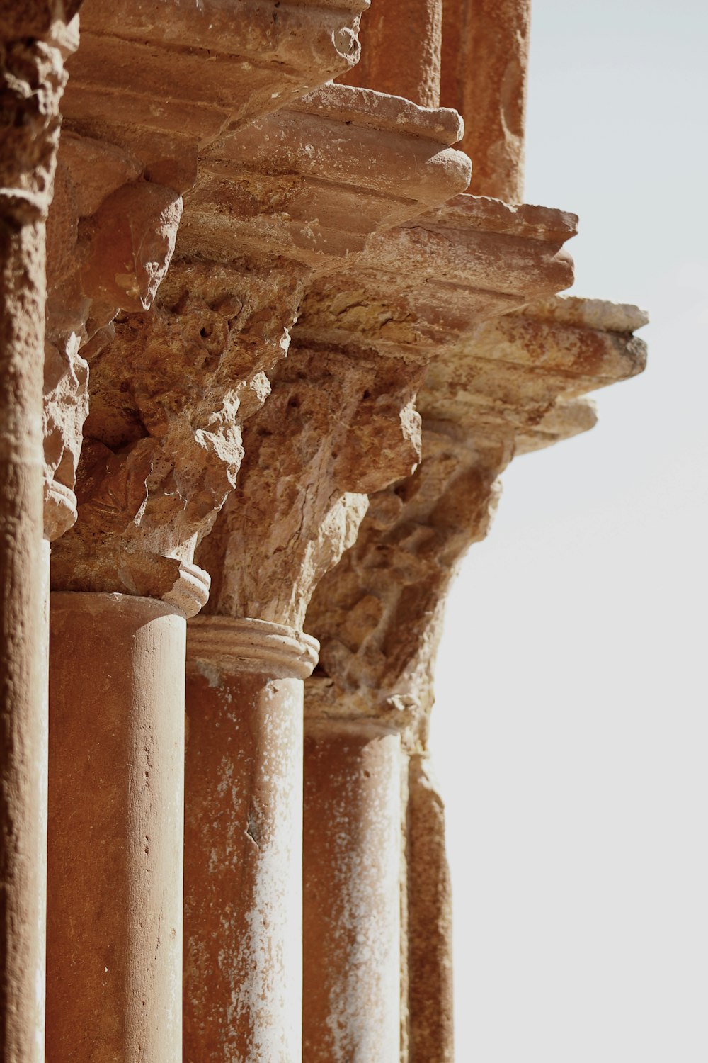 갈색 기둥 기둥의 얕은 초점 사진