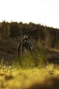 parked hiking bike on grass during day
