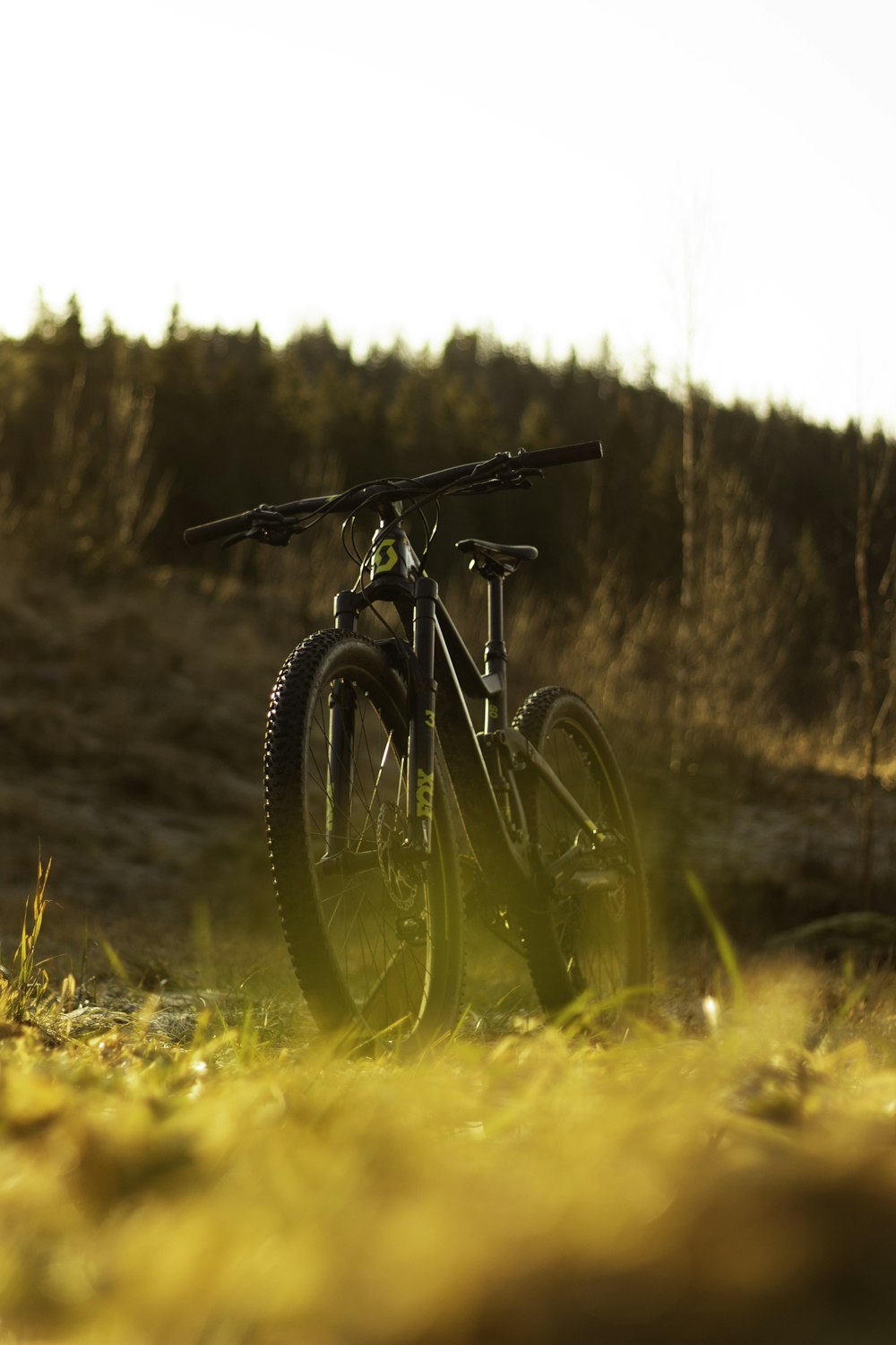 bici da trekking parcheggiata sull'erba durante il giorno