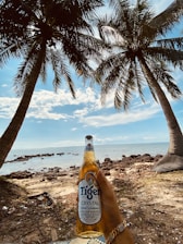A hand holds a bottle of Tiger Crystal beer under two tall palm trees with a view of a rocky beach and the ocean in the background. The sky is partly cloudy and the sunlight creates a warm atmosphere.