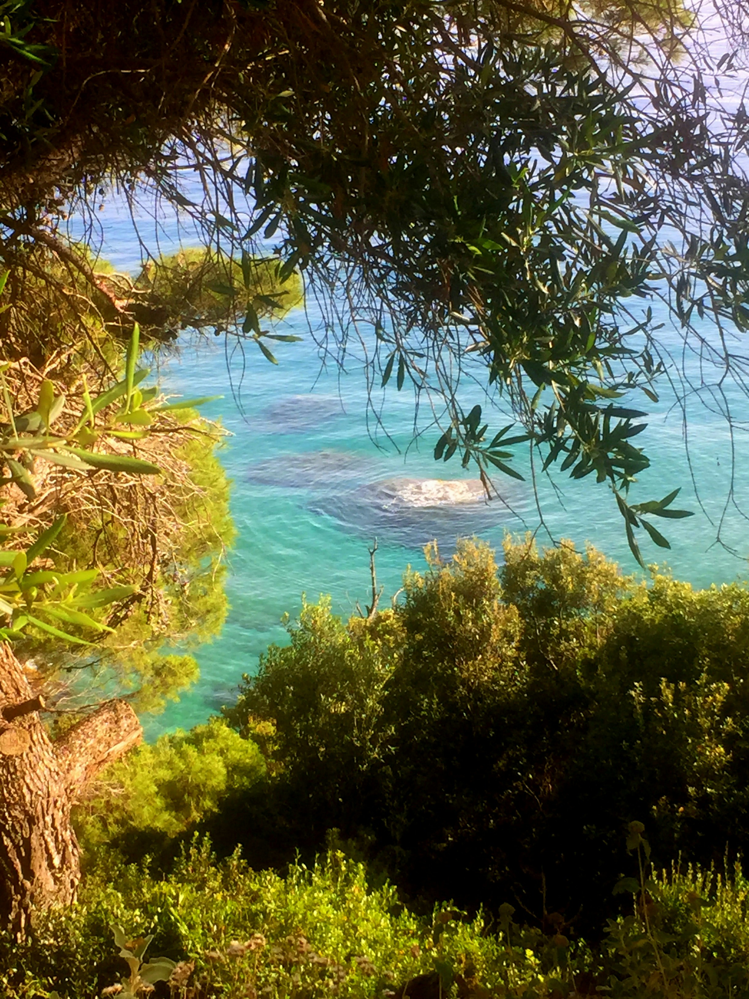 Photo by floy_christine_lindner