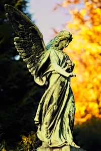 Heavenly Guidance Collection