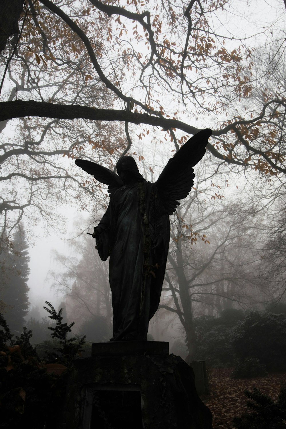 angel statue near tree