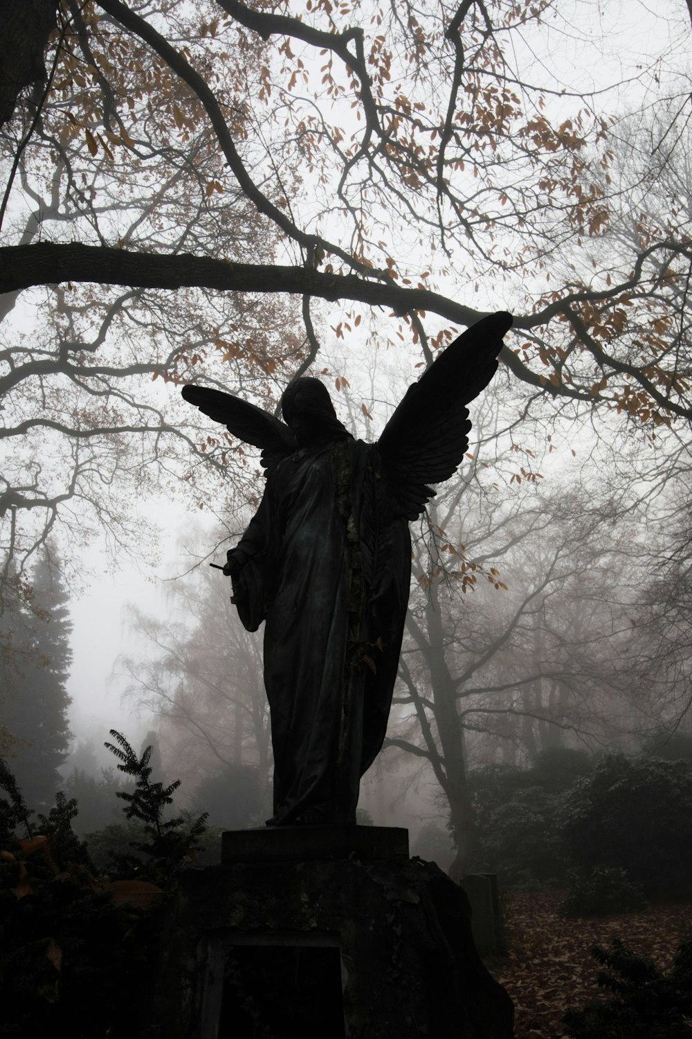 statue d’ange près de l’arbre