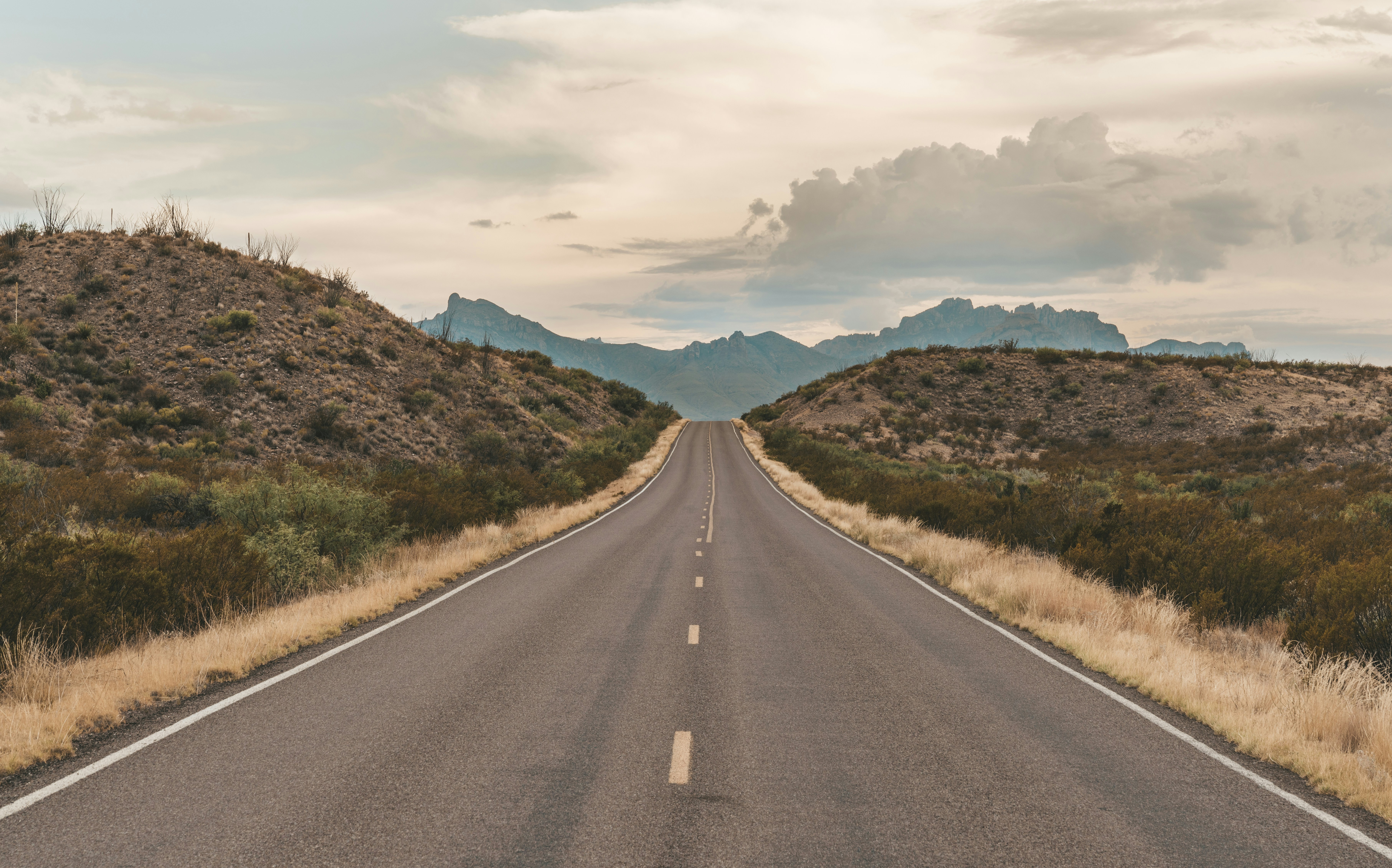 concrete road between trees during daytime