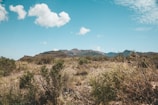 Team members conducting environmental monitoring in a desert landscape under clear skies.