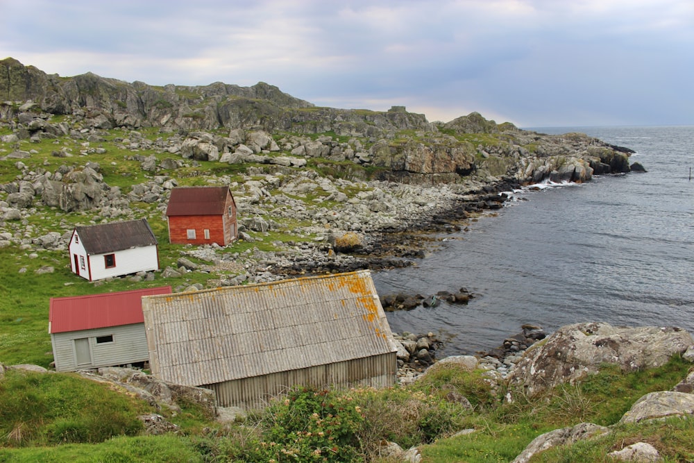 white and red houses on green field viewing cliff and body of water under blue and white sky