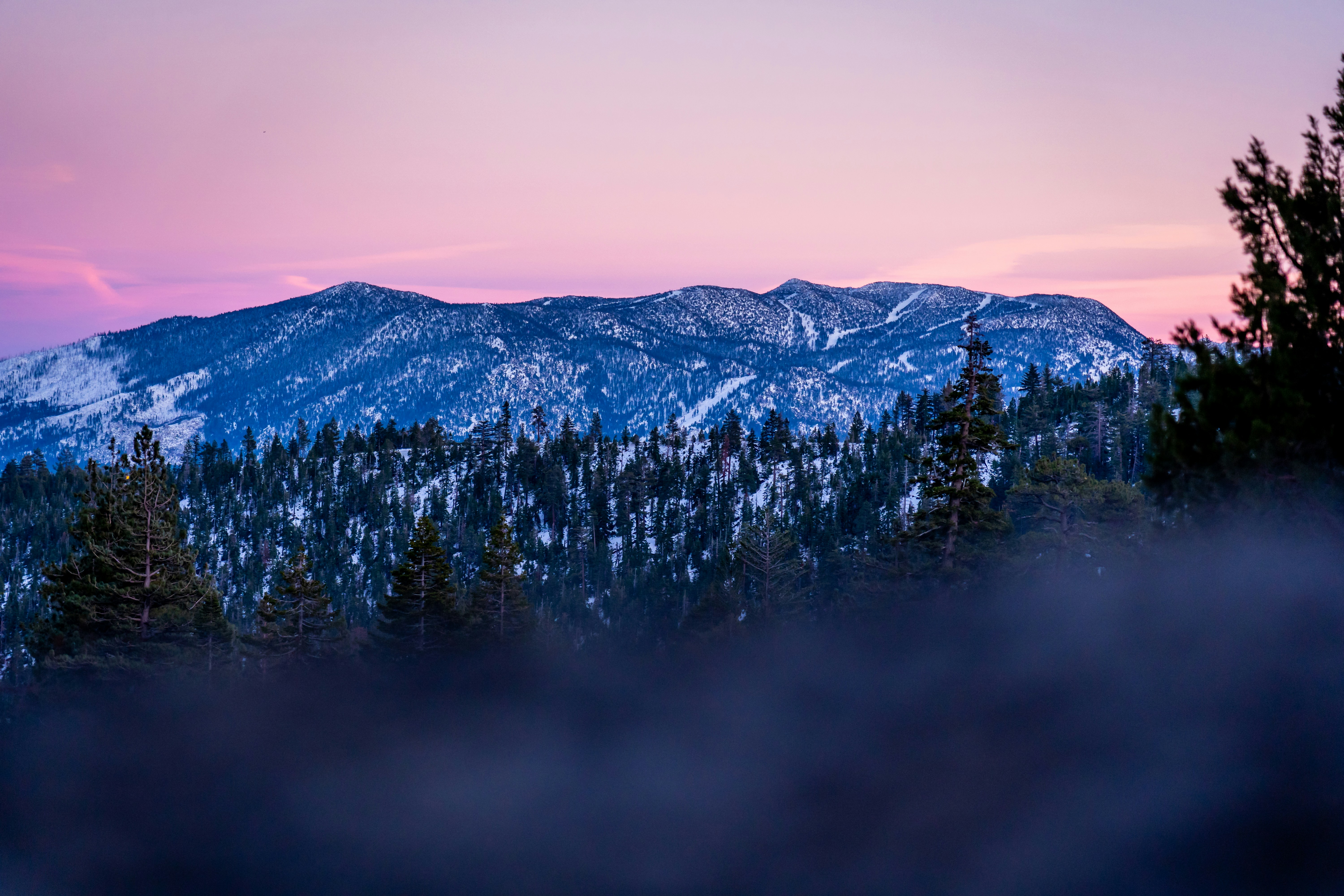 Photo by kalaniparker