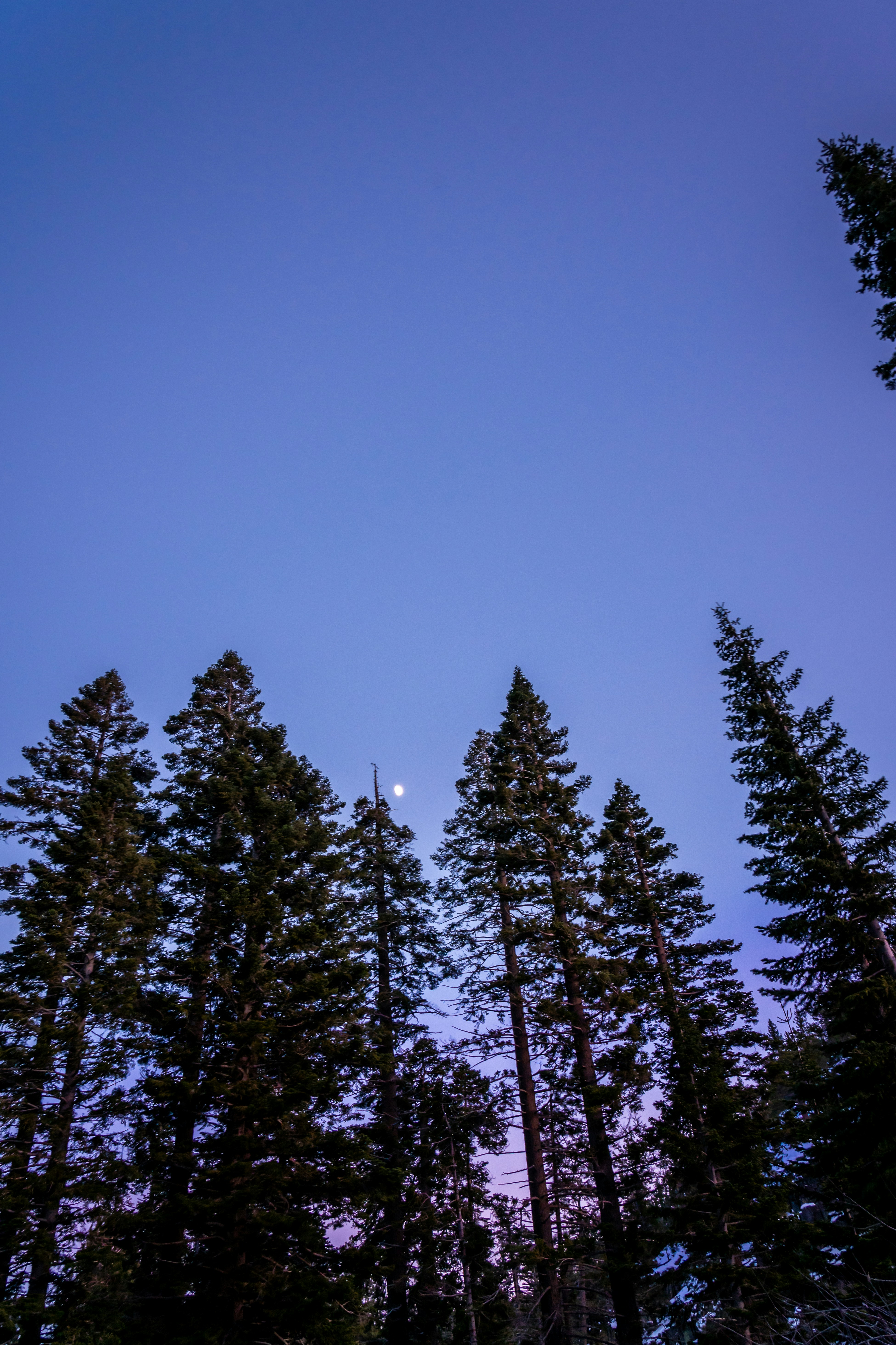 Photo by kalaniparker