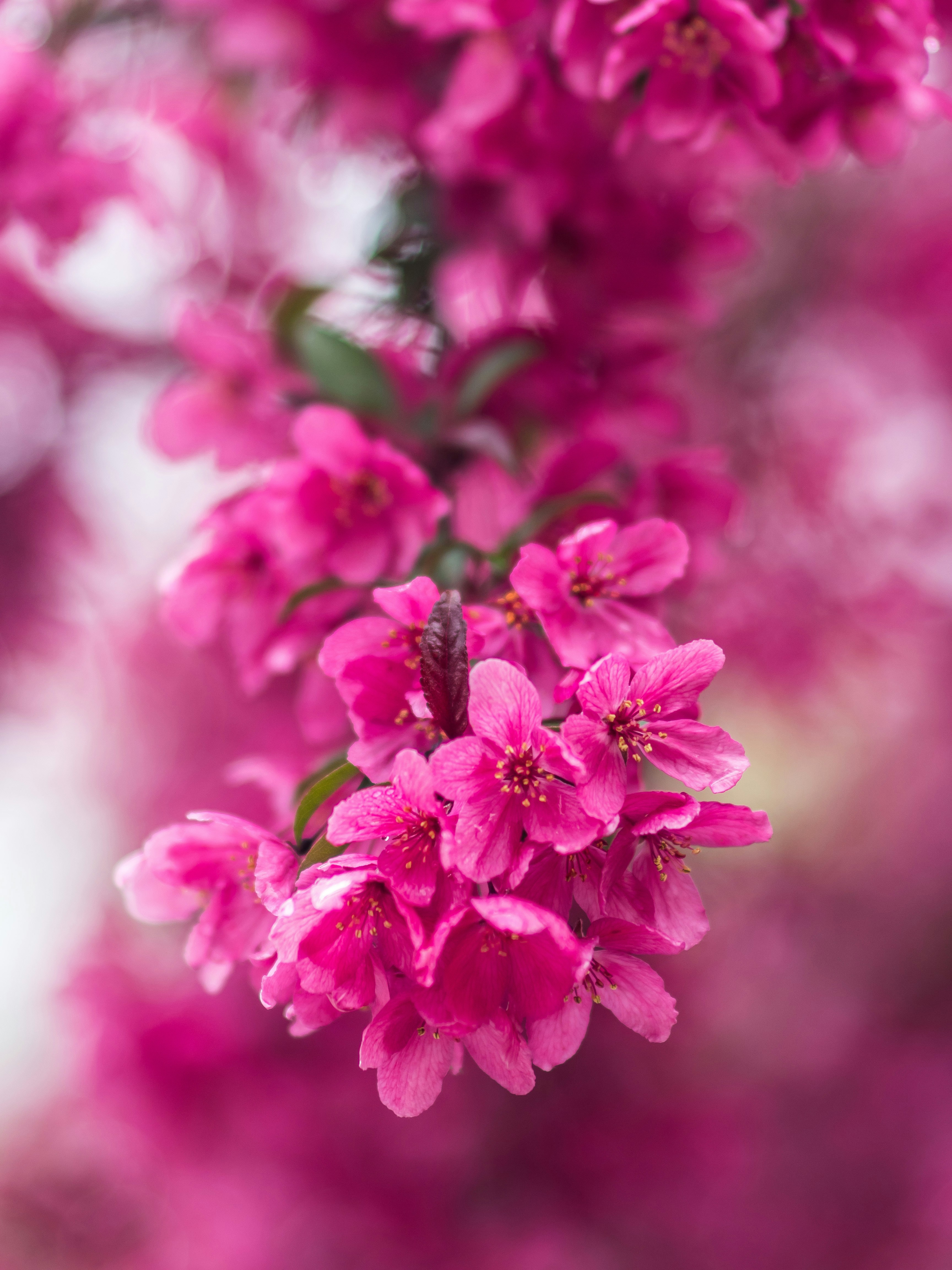 Photo by giobartlett