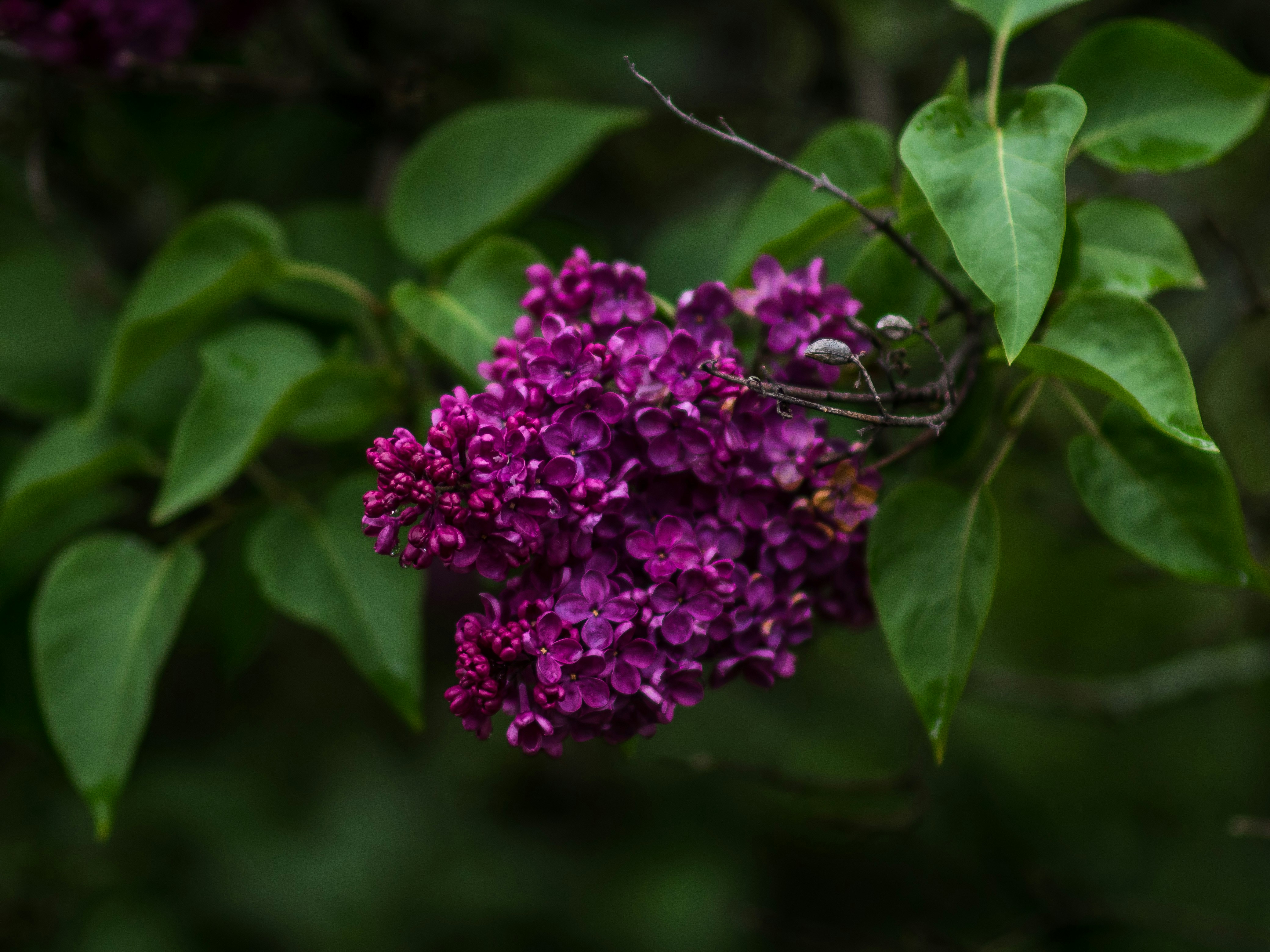 Photo by giobartlett