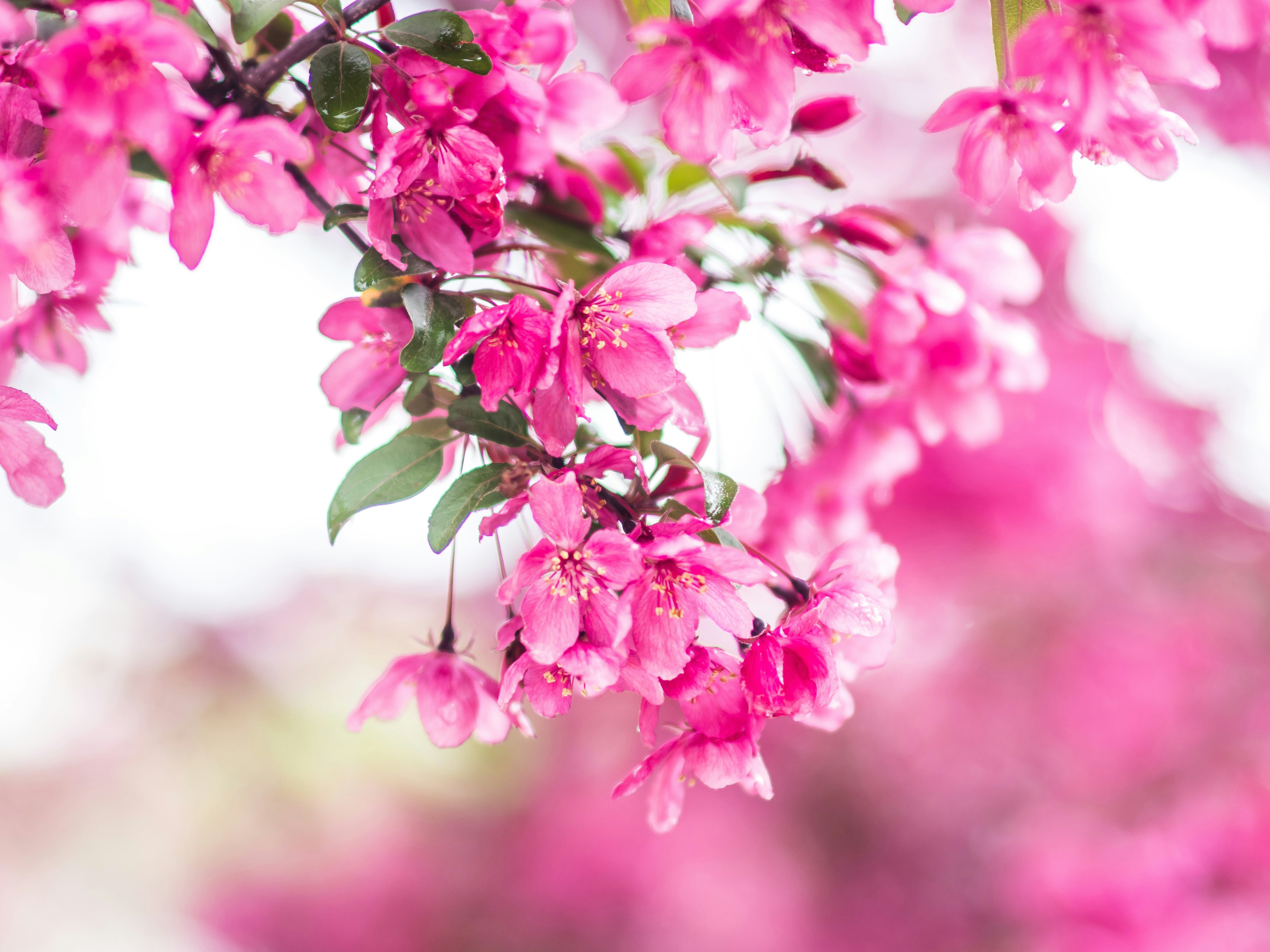 Photo by giobartlett