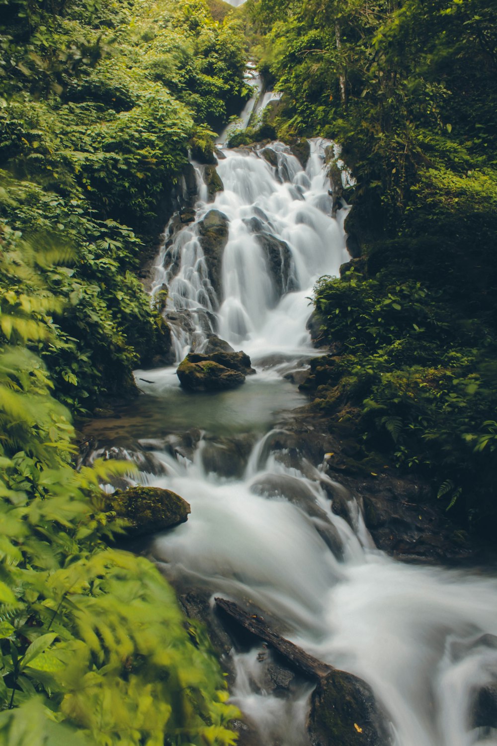 river between trees during daytime