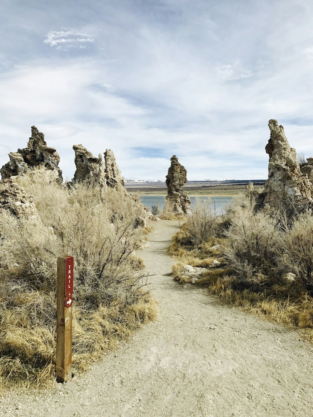 pathway surrounded by plants and rock formation