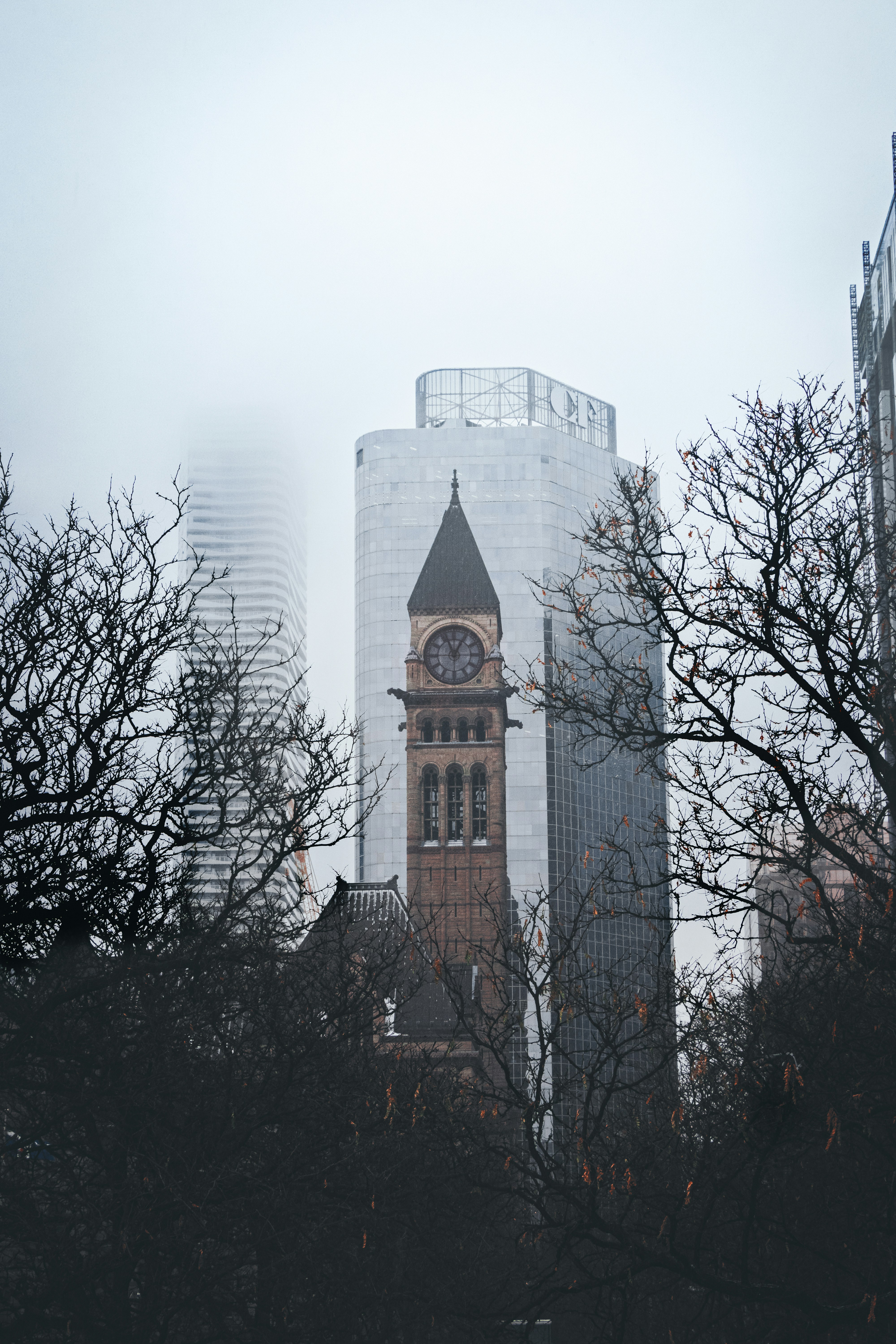 December in Toronto: The Season of Elevated Living
