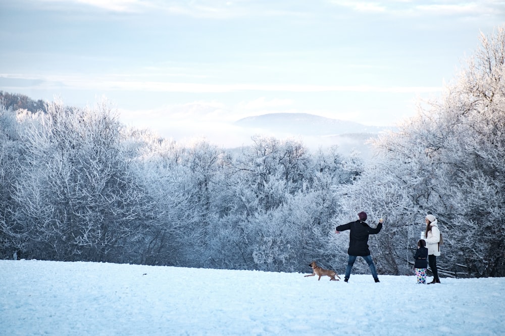 dog, man, child, and woman on snow field near trees during day
