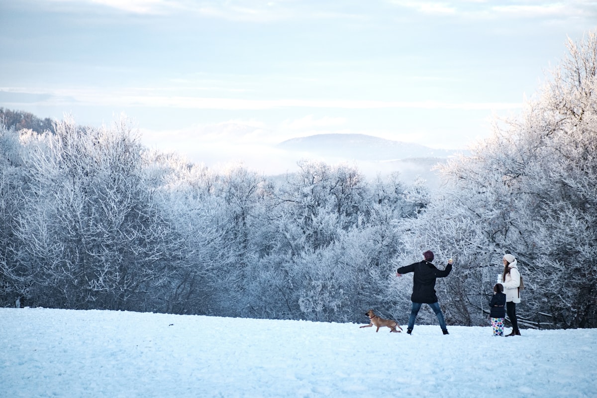 Family dressed in warm winter layers walking through a snow-covered Finnish Lapland forest