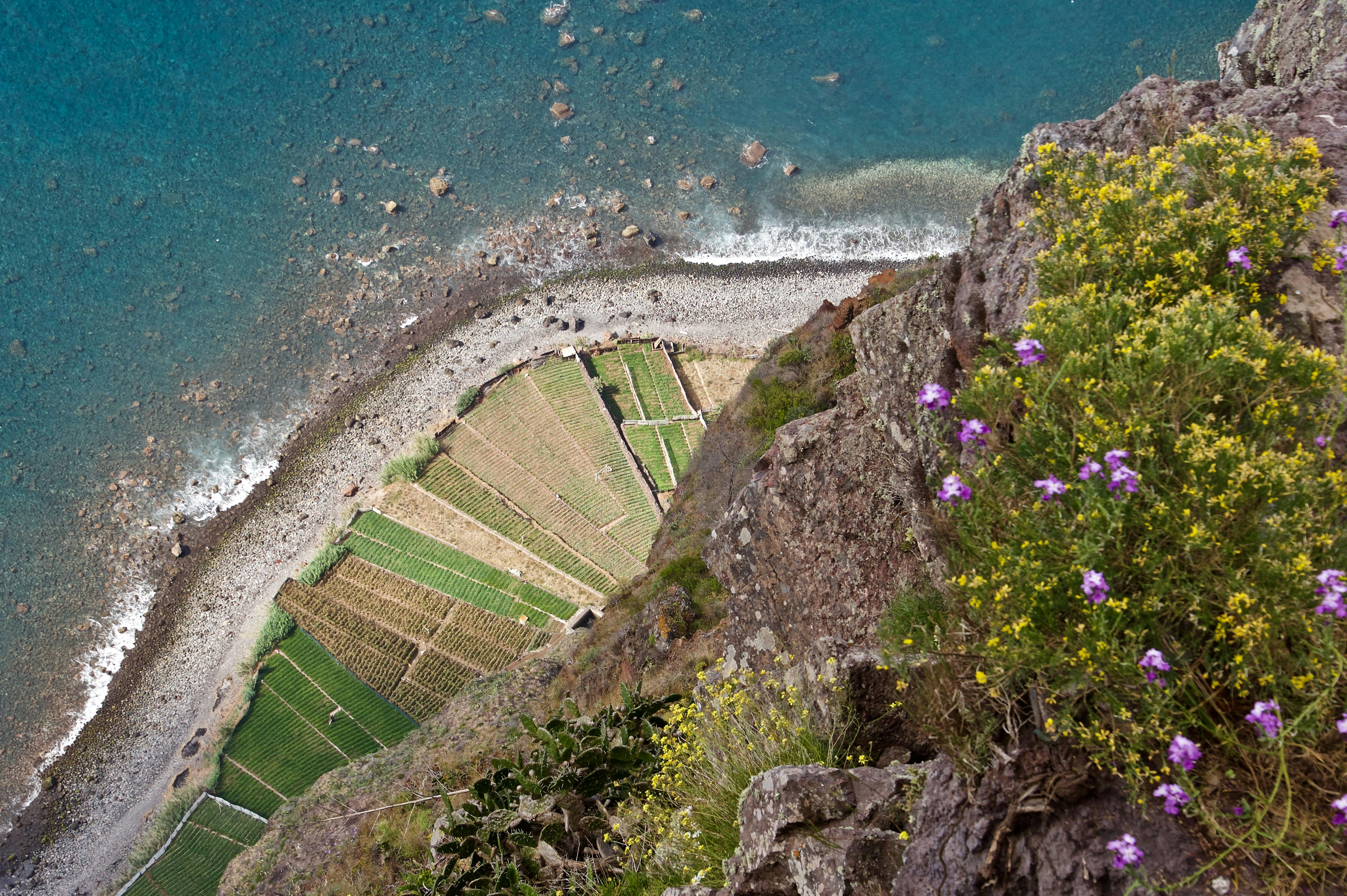 portugalia madera funchal