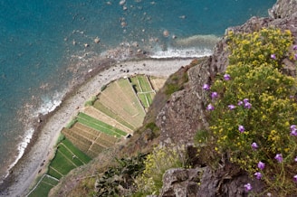 an aerial view of a grassy area next to a body of water