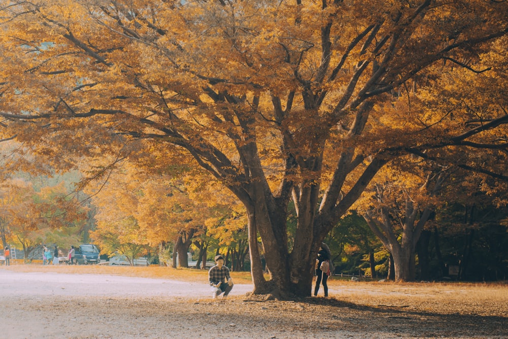 man sitting under the tree