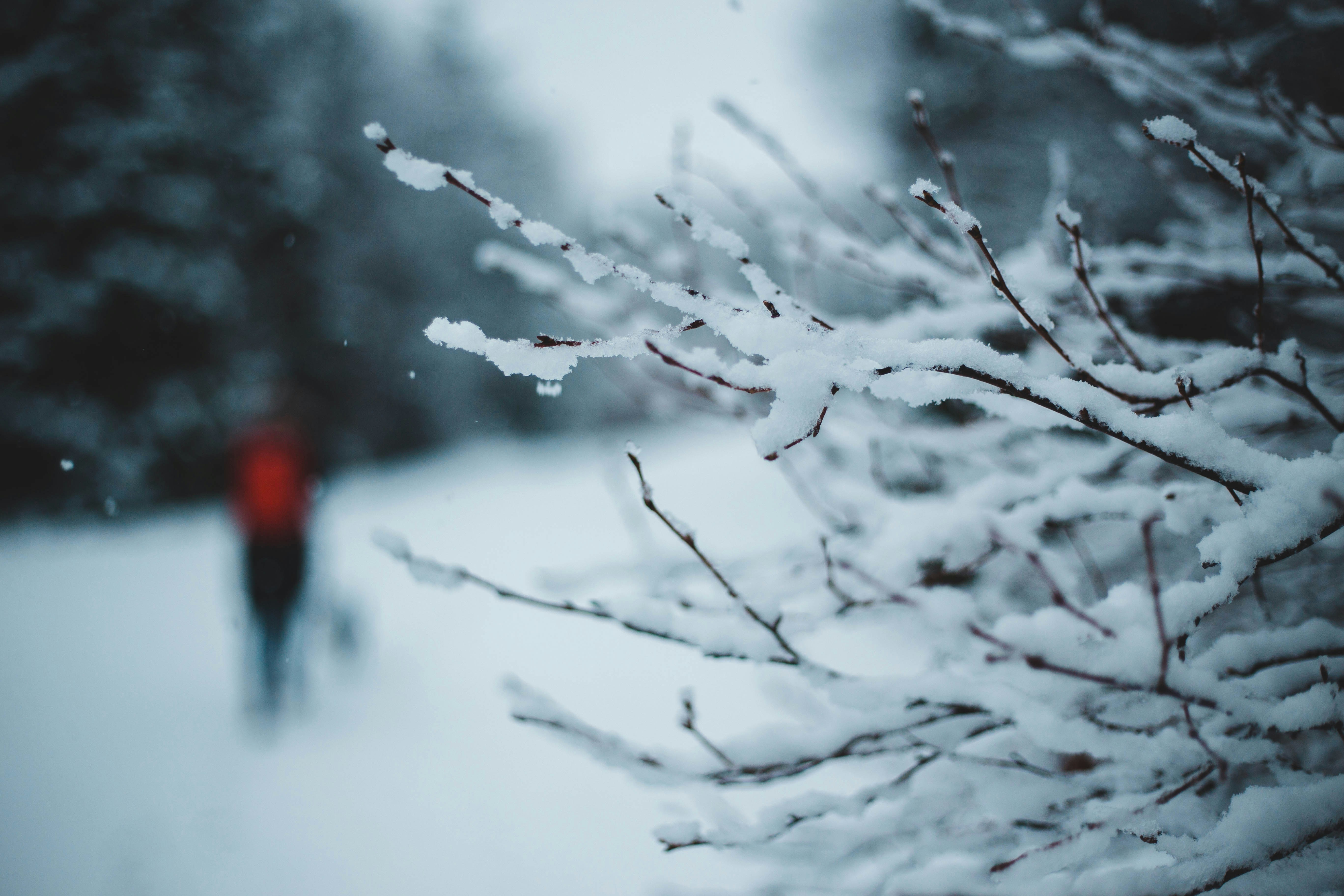 Photo by introspectivedsgn