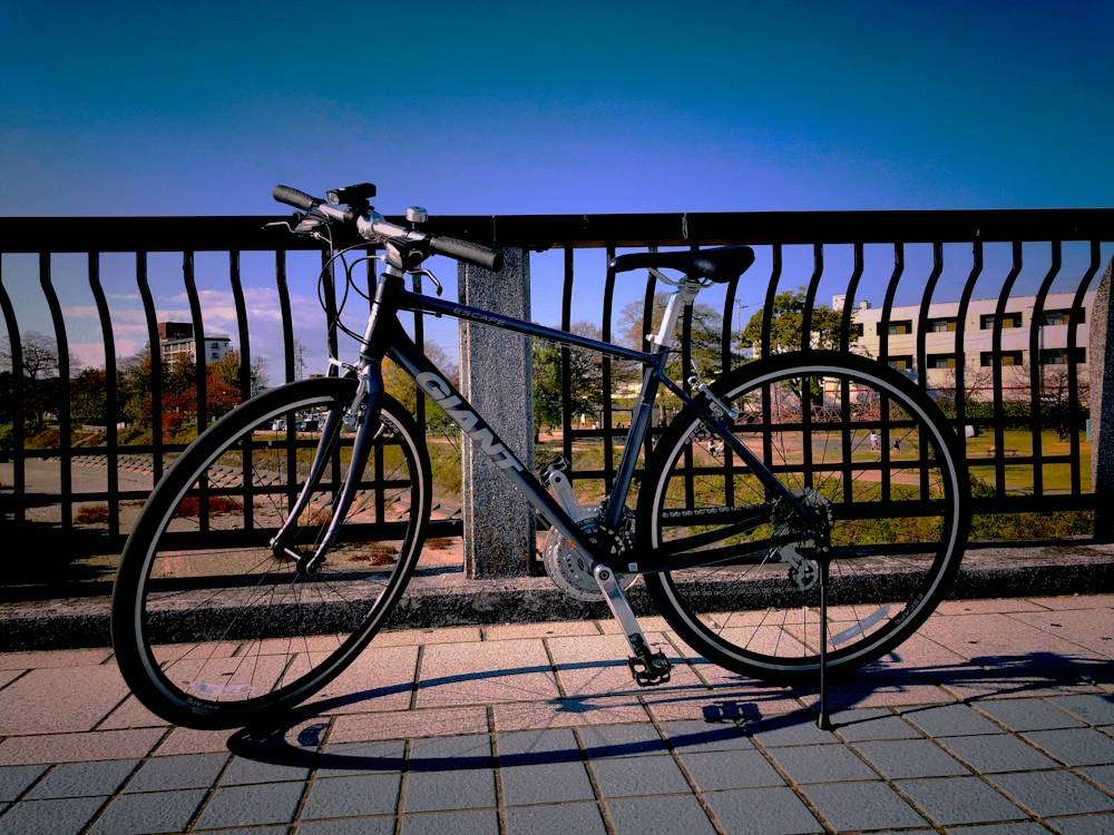 black and white Giant mountain bike on pathway