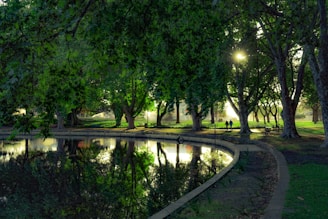 two persons standing near trees beside body of water