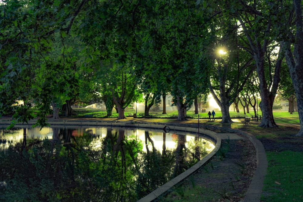 two persons standing near trees beside body of water