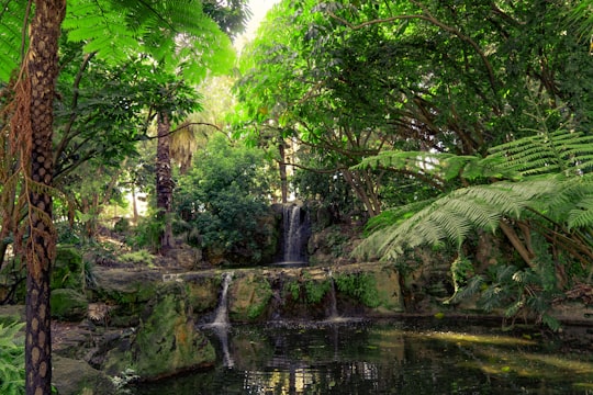 waterfalls surrounded with green trees during daytime in Perth WA Australia