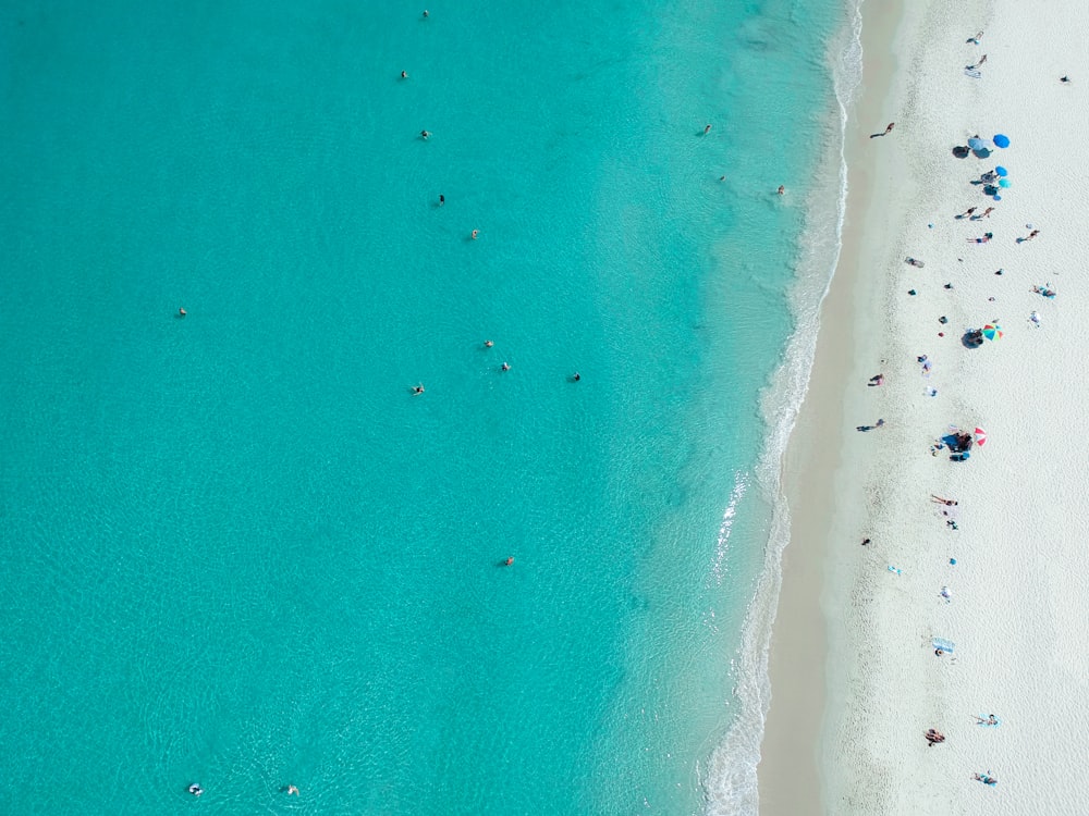 昼間のビーチでの人々の航空写真