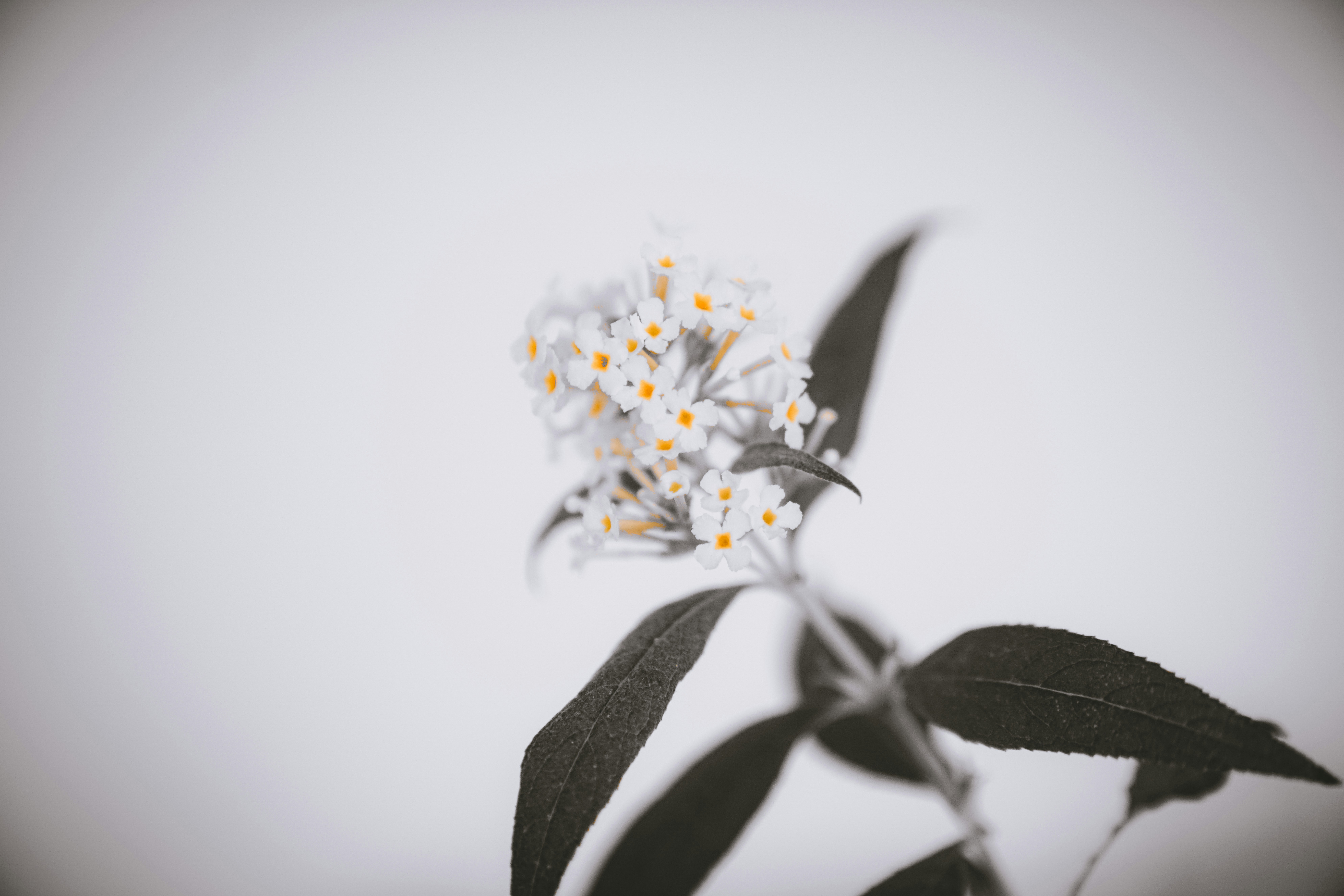 Photo by jakeacharles