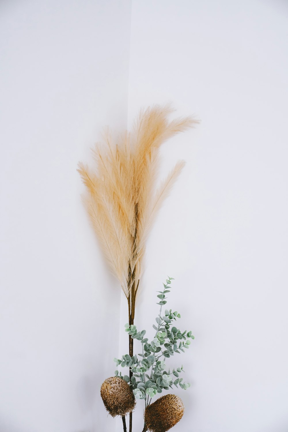 green leaf plant near brown hay beside white wall