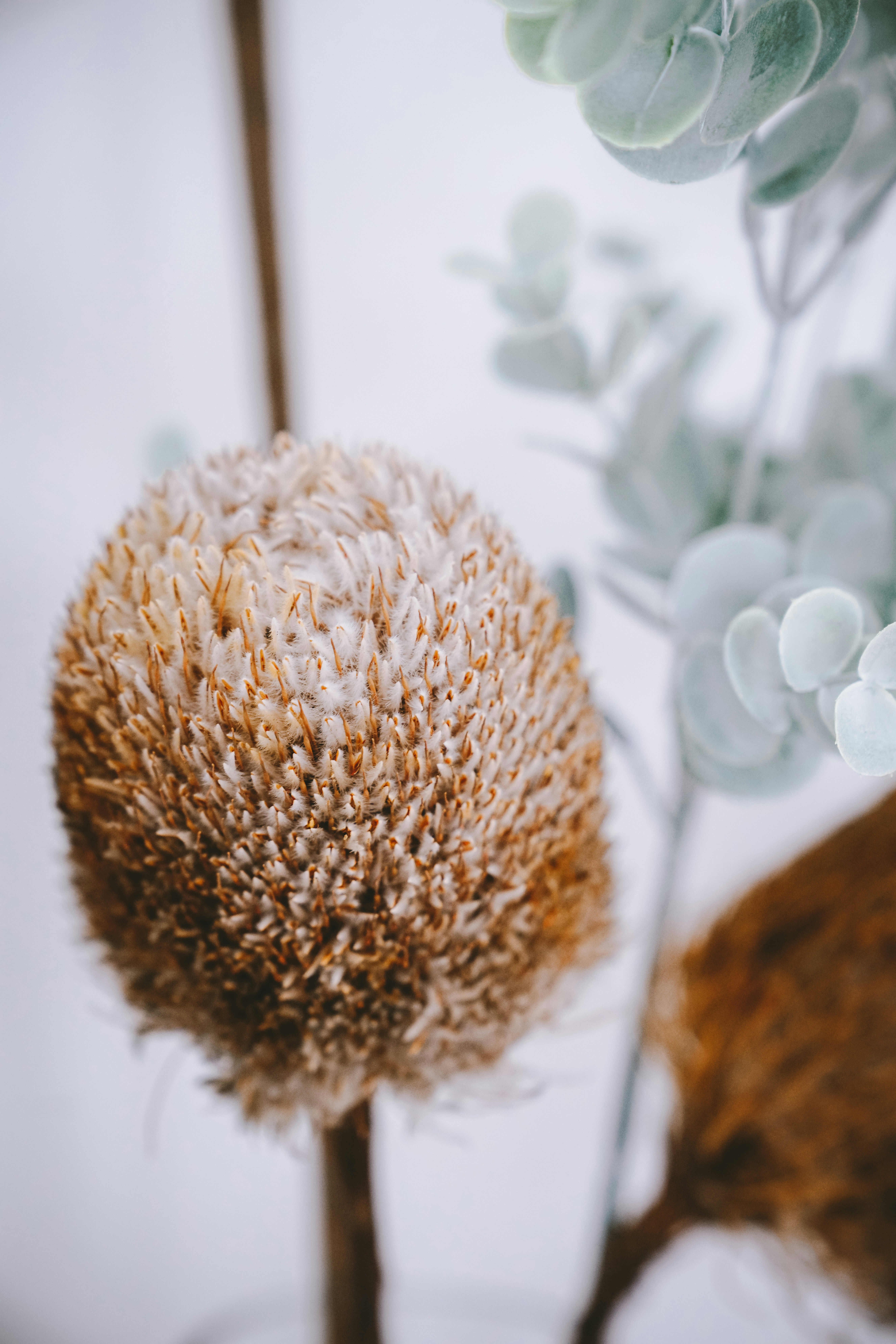 Photo by jakeacharles